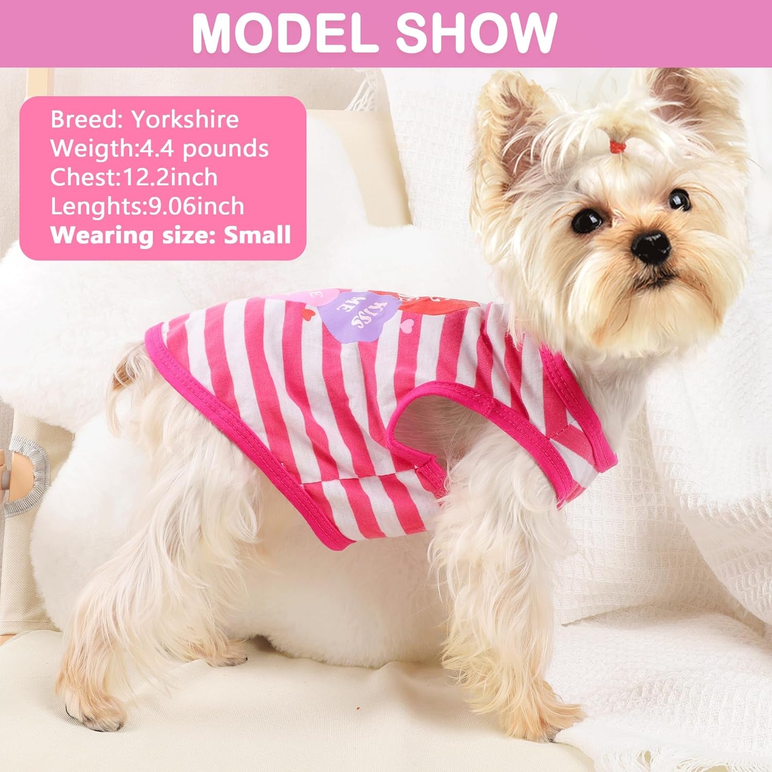 Dog Shirt for Small Dogs Girl - Small Dog Clothes Female - Chihuahua Yorkie Teacup Dog Clothes - XS Dog Clothes - XXS Dog Clothing - Puppy Clothes for Small Dogs Girl - Fall Girl Dog Clothes Pink