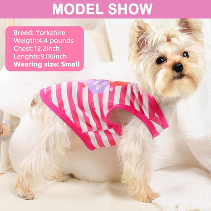 Dog Shirt for Small Dogs Girl - Small Dog Clothes Female - Chihuahua Yorkie Teacup Dog Clothes - XS Dog Clothes - XXS Dog Clothing - Puppy Clothes for Small Dogs Girl - Fall Girl Dog Clothes Pink